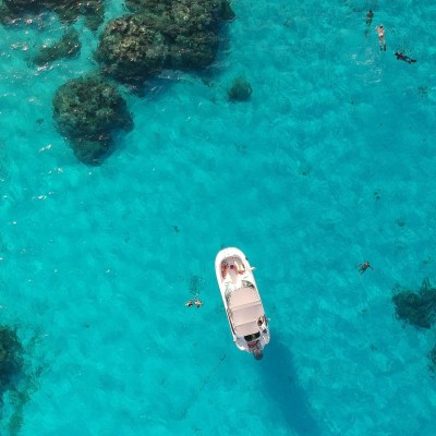a flock of seagulls in a pool of water