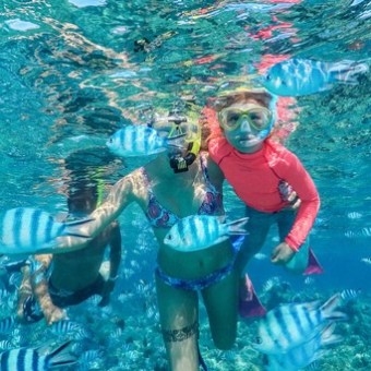 a person swimming in a pool of water
