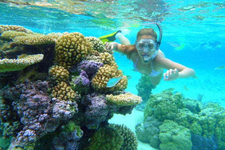 a person swimming in a reef