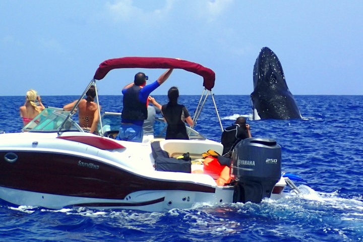a group of people in a small boat in a body of water