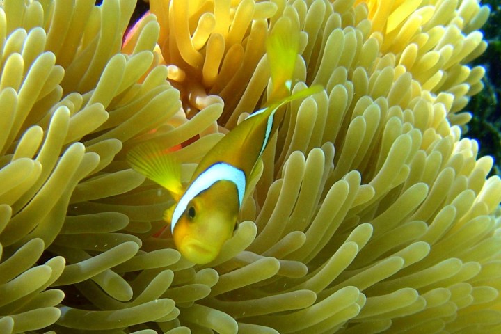 a close up of a flower