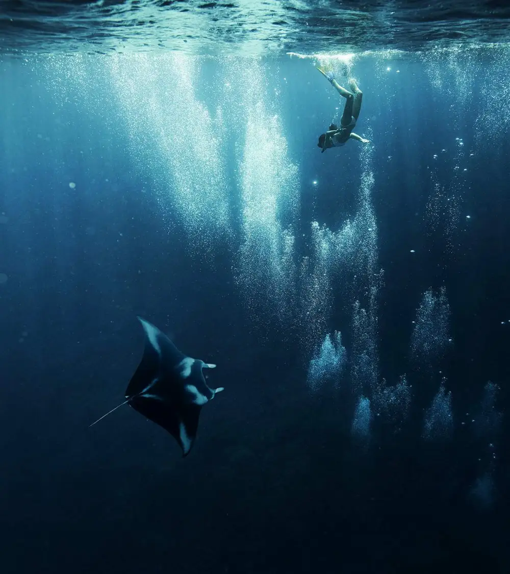 bora-bora-manta-rays-snorkeling-boat-tour-reef-discovery